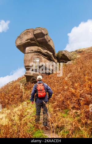 Mann, der in Richtung des Hanging Stone in der Landschaft von Heshire bei Danebridge Heshire geht Stockfoto