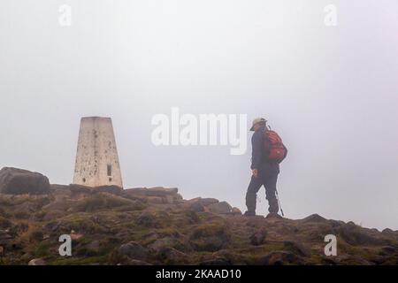 Mann, der in den Staffordshire Moorlands, einem Teil des Peak District England, bei schlechtem nassem, nebligen Wetter auf den Trig Point auf dem Kakerlakenrücken geht Stockfoto