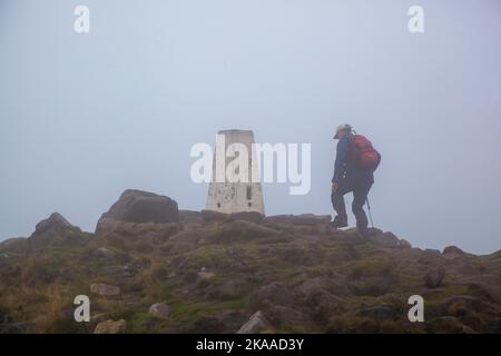 Mann, der in den Staffordshire Moorlands, einem Teil des Peak District England, bei schlechtem nassem, nebligen Wetter auf den Trig Point auf dem Kakerlakenrücken geht Stockfoto