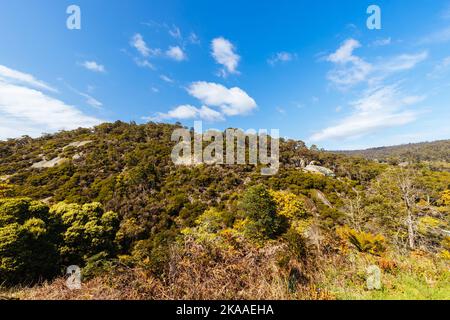 DERBY, AUSTRALIEN - 23. SEPTEMBER 2022: Aborigine-Fischmalerei auf Felsen und umliegende Landschaft in der ländlichen Stadt Derby an einem kalten Frühlingsmorgen Stockfoto