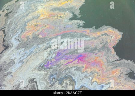 Schadstoffe mischen sich mit Algen im Hafenwasser; Kodiak; Alaska; USA Stockfoto