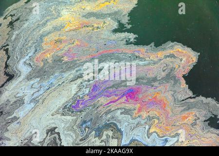 Schadstoffe mischen sich mit Algen im Hafenwasser; Kodiak; Alaska; USA Stockfoto