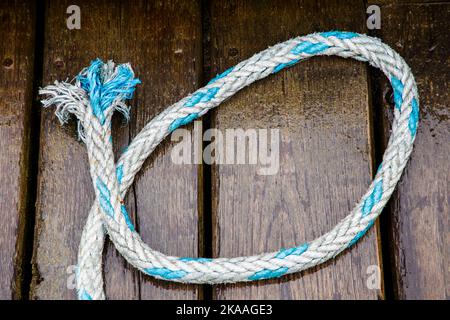 Bunte Seile und Takelage. Charter- und kommerzielle Fischerboote im Hafen, Kodiak, Alaska, USA. Stockfoto