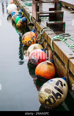 Bunte Fischerbojen und Schwimmer. Charter- und kommerzielle Fischerboote im Hafen, Kodiak, Alaska, USA. Stockfoto