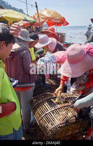 Lokale Frauen sortieren die Krabbentöpfe auf dem Fishing Village Crab Market in Kep Kambodscha Stockfoto