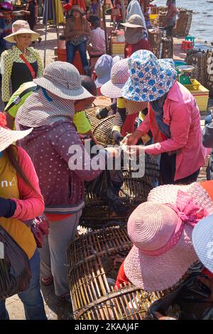 Lokale Frauen sortieren die Krabbentöpfe auf dem Fishing Village Crab Market in Kep Kambodscha Stockfoto