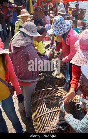 Lokale Frauen sortieren die Krabbentöpfe auf dem Fishing Village Crab Market in Kep Kambodscha Stockfoto