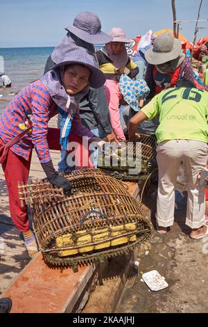 Lokale Frauen sortieren die Krabbentöpfe auf dem Fishing Village Crab Market in Kep Kambodscha Stockfoto