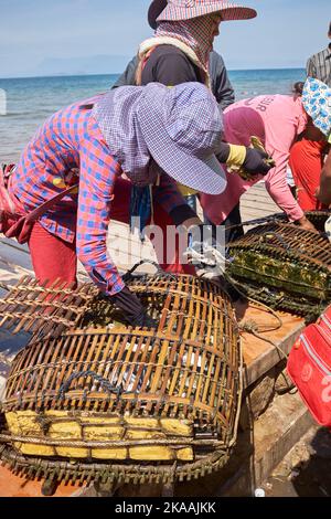 Lokale Frauen sortieren die Krabbentöpfe auf dem Fishing Village Crab Market in Kep Kambodscha Stockfoto