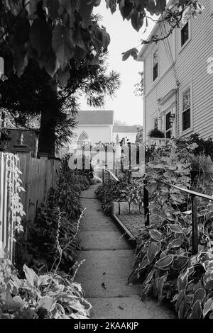 Zwischen den Gebäuden in Rockport, Massachusetts, verläuft ein enger Pfad mit Gärten auf beiden Seiten. Das Bild wurde auf analogem Schwarzweiß-Film aufgenommen. Stockfoto