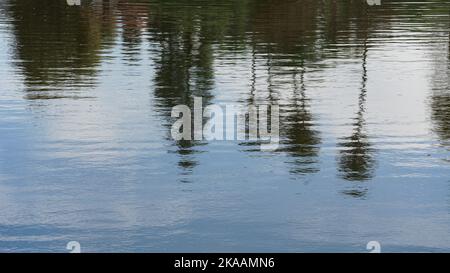 Palmen spiegeln sich in einem kleinen See. Geeignet für den Einsatz im Hintergrund. Stockfoto