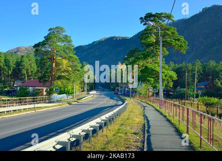 Chemal, Sibirien, Russland, 18.09.2022. Eine Straße in einem Bergdorf. Eine leere Autobahn, die an einem sonnigen Morgen von hohen Pinien umgeben ist Stockfoto