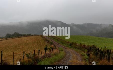 Tal im Nebel am Morgen erstaunliche Naturkulisse entlang des Chemin du Puy. Jakobsweg in Frankreich Stockfoto