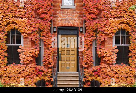 Eingangstür des alten Backsteinhauses im Herbst von Efeu umgeben Stockfoto