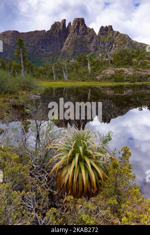 mt geryon und der Pool der Erinnerungen mit Pandani im Vordergrund Stockfoto