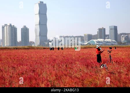 LIANYUNGANG, CHINA - 2. NOVEMBER 2022 - Menschen spielen in einem Feuchtgebiet in der Nähe des Ganghai-Damms in der Stadt Lianyungang, der Stadt Jiangsu in Ostchina Stockfoto