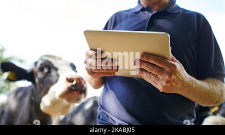 Der moderne Farmer-Assistent. Ein Landwirt mit einem digitalen Tablet auf seinem Bauernhof. Stockfoto