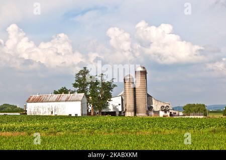 Bauernhof mit Feld- und Silo in einer wunderschönen Landschaft Stockfoto