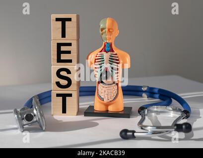 Medizinisches Testkonzept. Untersuchung der inneren Organe. Stockfoto