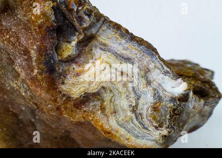 Glänzender echter roher Achatblock, brauner, gelber und weißer Achatchalcedon mit Achatdruse und kleinen Kristallsteinpunkten Makronah isoliert Stockfoto