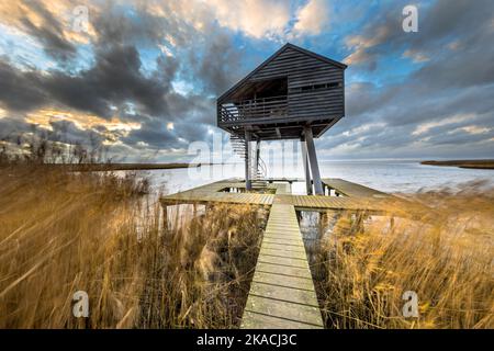 Holzweg durch Salzgezeitensumpfs führt zu Sternwarte verstecken im Natura 2000-Gebiet Dollard, Provinz Groningen, Niederlande. Landschaftsaufnahme Stockfoto