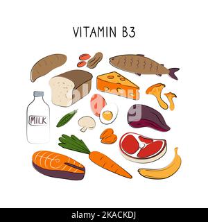 Vitamin B3 Niacinamid Vitamin PP Niacin Nicotinamid. Gruppen von gesunden Lebensmitteln, die Vitamine enthalten. Set aus Obst, Gemüse, Fleisch, Fisch und Dair Stock Vektor