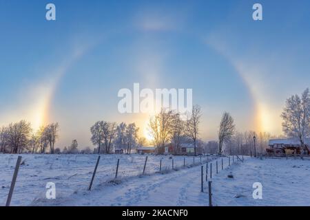 Kalter Wintertag mit einem Halo und Sonnenhunden auf dem Land Stockfoto