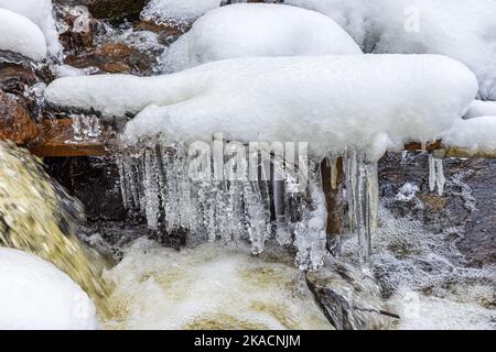 Eiszapfen in einem Bach im Winter Stockfoto