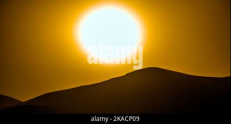 Romantischer Sonnenuntergang mit eigenständigen Bäumen im Vulkangebiet von Lanzarote Stockfoto