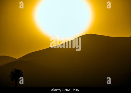 Romantischer Sonnenuntergang mit eigenständigen Bäumen im Vulkangebiet von Lanzarote Stockfoto