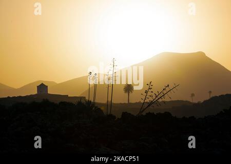 Romantischer Sonnenuntergang mit eigenständigen Bäumen im Vulkangebiet von Lanzarote Stockfoto