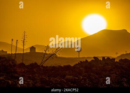 Romantischer Sonnenuntergang mit eigenständigen Bäumen im Vulkangebiet von Lanzarote Stockfoto