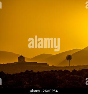 Romantischer Sonnenuntergang mit eigenständigen Bäumen im Vulkangebiet von Lanzarote Stockfoto