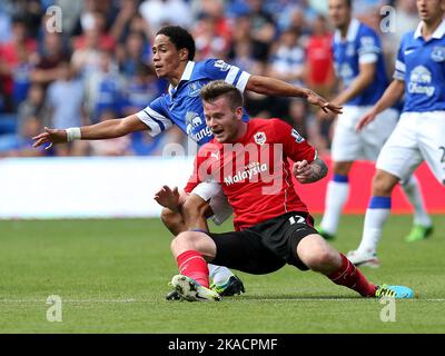 31.. August 2013- Barclays Premiership - Cardiff City vs Everton - Aron Gunnarsson aus Cardiff City wird von Steven Pienaar aus Everton gefoudert - Foto: Paul Roberts/Pathos. Stockfoto