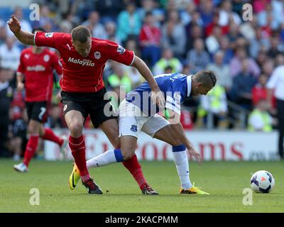 31.. August 2013- Barclays Premiership - Cardiff City vs Everton - Kevin Mirallas aus Everton wird von Ben Turner aus Cardiff City angestachelt - Foto: Paul Roberts/Pathos. Stockfoto