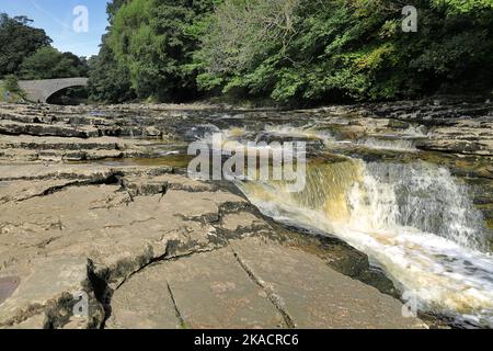 River Ribble, North Yorkshire, England, UK - Stainforth Force Wasserfall mit Stainforth Packhorse Brücke in der Ferne Stockfoto