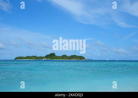 Rasdhoo ist berühmt für seine Habitate von Schwarz- und Weißspitzenriffhaien. Es ist eine kleine Insel im nördlichen Ari Atoll mit schönen Stränden. Stockfoto