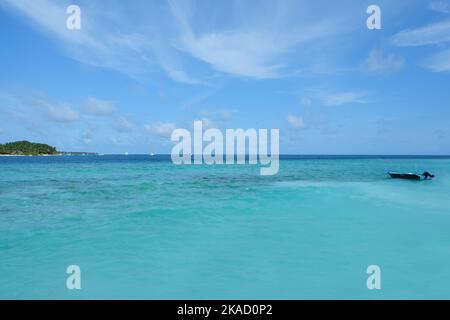 Rasdhoo ist berühmt für seine Habitate von Schwarz- und Weißspitzenriffhaien. Es ist eine kleine Insel im nördlichen Ari Atoll mit schönen Stränden. Stockfoto