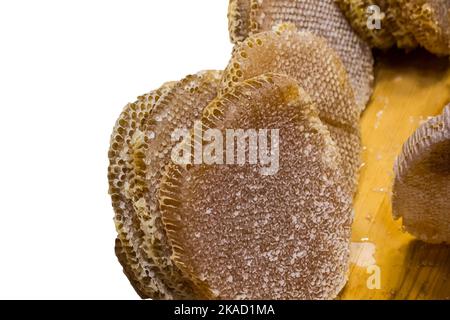 Honigwabe aus Bienenstock gefüllt mit goldenem Honig, Stockfoto