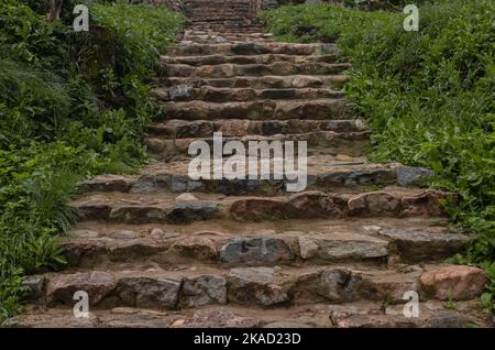Alte alte Steintreppen in der Natur. Schritte zwischen grünem Gras, Pflanzen im Freien. Weg und Weg bis zum Tempel. Stockfoto