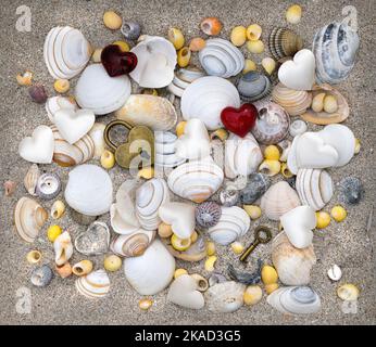 Muscheln auf Sand mit Vorhängeschloss und Schlüssel Stockfoto