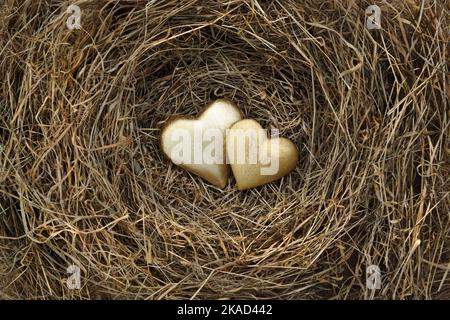 Zwei vergoldete Herzen im Nest aus trockenem Gras. Stockfoto