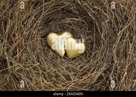 Zwei vergoldete Herzen im Nest aus trockenem Gras. Stockfoto