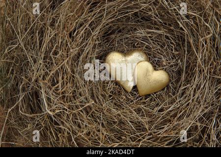 Zwei vergoldete Herzen im Nest aus trockenem Gras. Stockfoto