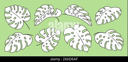 Monstera Deliciosa weißes Blatt mit schwarzer Kontur. Tropischer exotischer Pflanzenzweig. Hawaiianisches Dschungelgrün. Blumen Scrapbooking Doodle Hand gezeichnet Mode Design Element. Single Leaves Stoff Textil-Set Stock Vektor
