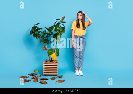 Foto von zweifelhaften lustige junge Dame tragen gelbe T-Shirt suchen getrocknete Büro Pflanze Hand Arm Kopf isoliert blauen Hintergrund Stockfoto