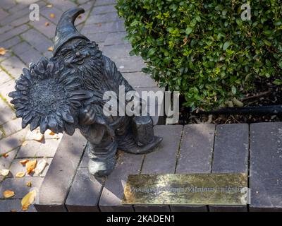 Vilnius, Litauen - 26. September 2022: Eine Bronzestatue des Zwerges Zyczliwek, ein Geschenk der polnischen Stadt Breslau an Vilnius. Bernardinengarten im Alten Turm. Stockfoto