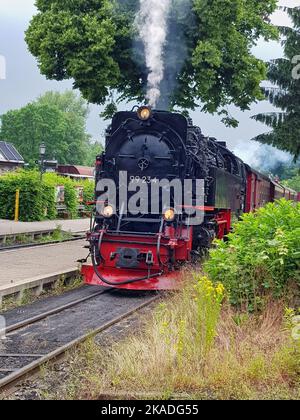 a vertical Front view of the Brockenbahn steam locomotive Stockfoto