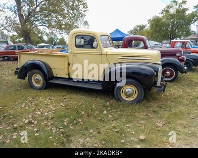 Alte creme und schwarz Utility Ford Pickup LKW 1942 - 1947 auf dem Land. Seitenansicht. Naturgrasbäume. Oldtimer-Show. Copyspace Stockfoto