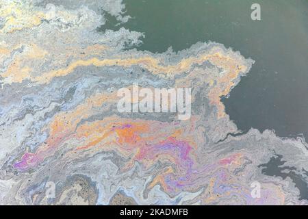 Schadstoffe mischen sich mit Algen im Hafenwasser; Kodiak; Alaska; USA Stockfoto